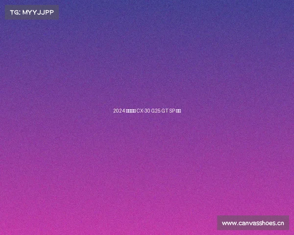 2024 年马自达 CX-30 G25 GT SP 评测