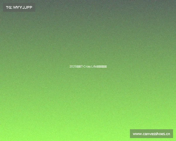 2025款大众T-Cross Life:入门级更出彩 2025款大众T-Cross Life:入门级更出彩